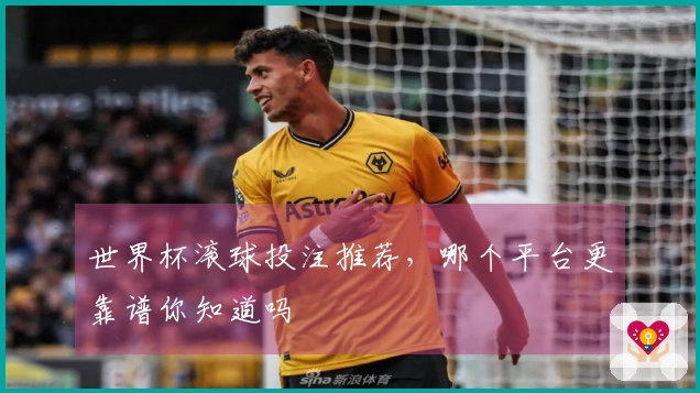 世界杯滚球投注推荐，哪个平台更靠谱你知道吗