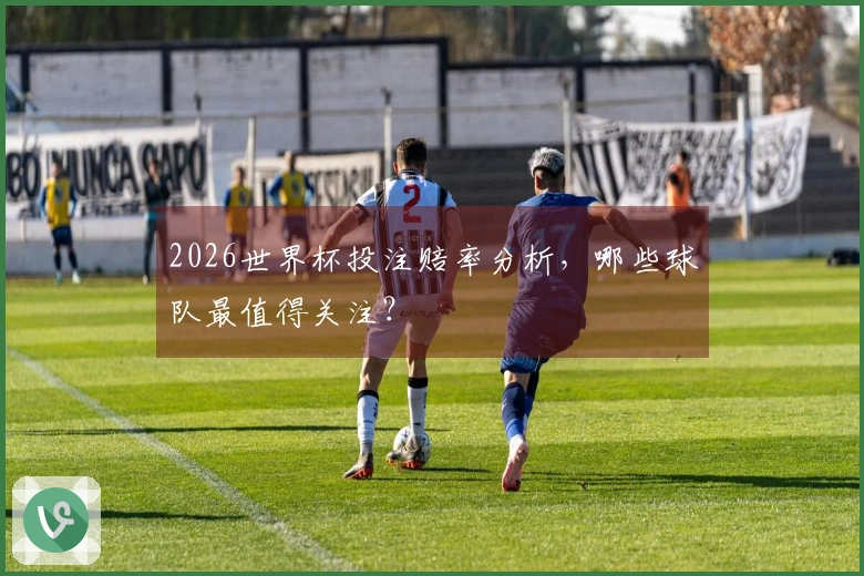 2026世界杯投注赔率分析，哪些球队最值得关注？