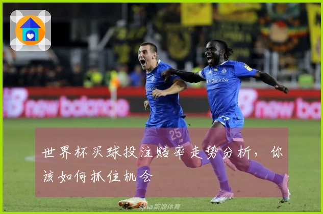 世界杯买球投注赔率走势分析，你该如何抓住机会